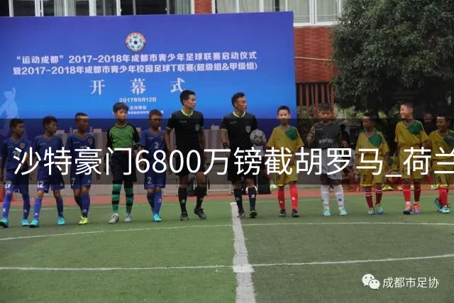 沙特豪门6800万镑截胡罗马 荷兰国脚萨默维尔告别英超
